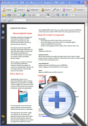 PDF to Word sample